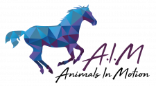 AIM – Animals In Motion
